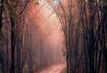 蓝鲸体育:意媒:卡拉菲奥里可能遭遇膝盖副韧带损伤,预计伤缺两到三周.