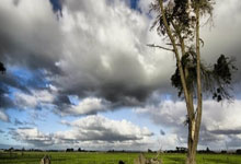 体坛名场面|唐佳丽最不可思议一球,把对手踢崩溃,震惊国际球联.